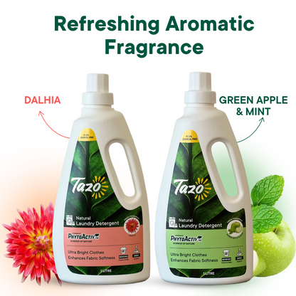 Tazo Laundry Combo (Dahlia and Green Apple and Mint)