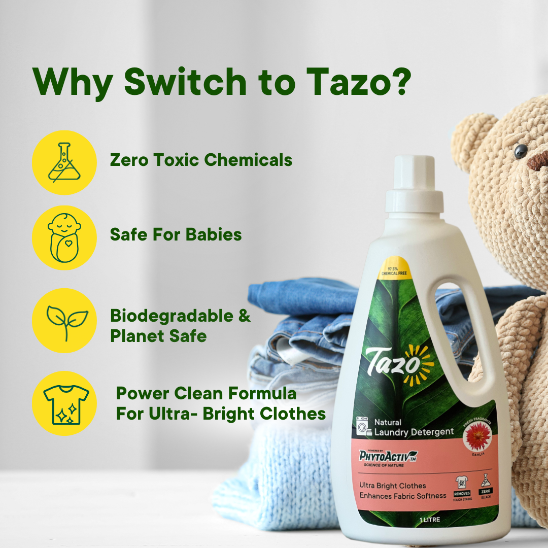 Tazo Laundry Combo (Dahlia and Green Apple and Mint)